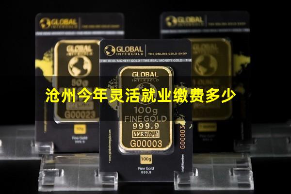 沧州今年灵活就业缴费多少
