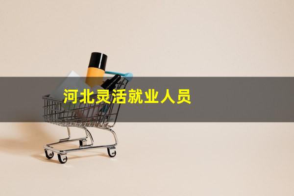 河北灵活就业人员