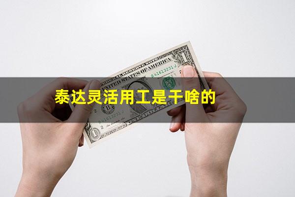 泰达灵活用工是干啥的