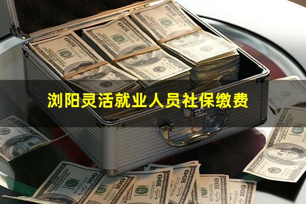 浏阳灵活就业人员社保缴费