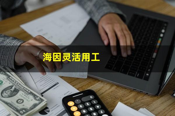 海因灵活用工