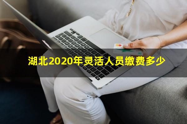 湖北2020年灵活人员缴费多少