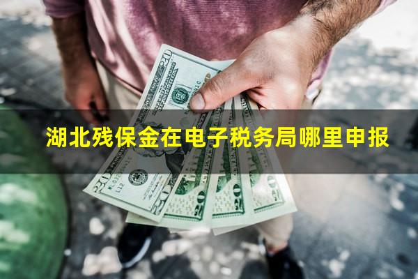 湖北残保金在电子税务局哪里申报