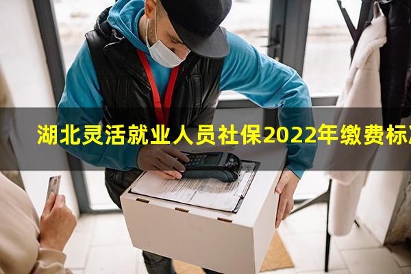 湖北灵活就业人员社保2022年缴费标准