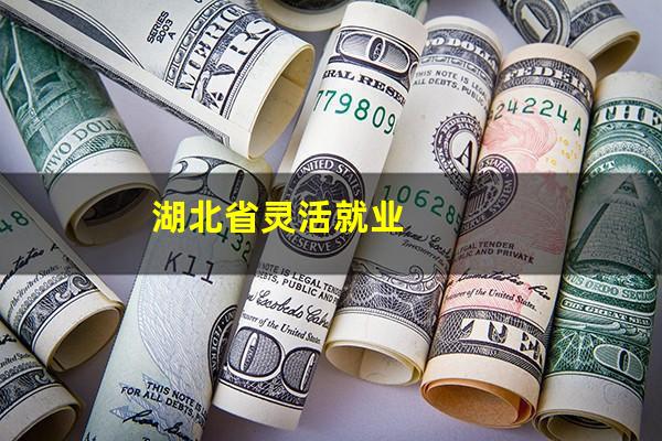湖北省灵活就业