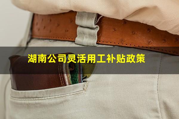 湖南公司灵活用工补贴政策