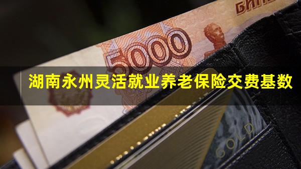 湖南永州灵活就业养老保险交费基数