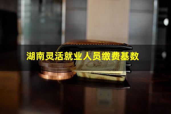 湖南灵活就业人员缴费基数
