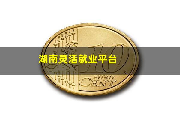 湖南灵活就业平台