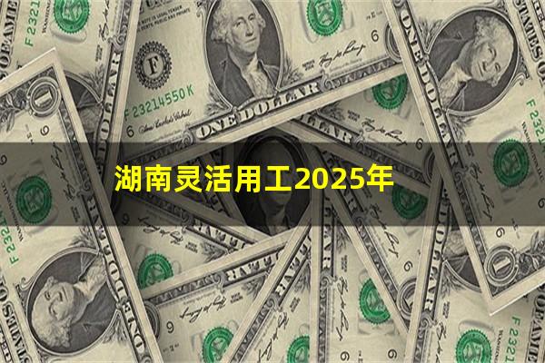 湖南灵活用工2025年
