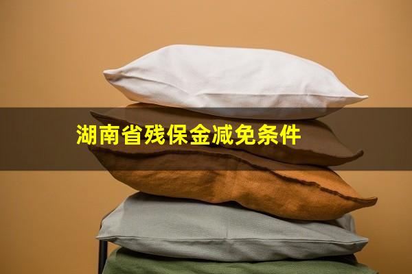 湖南省残保金减免条件