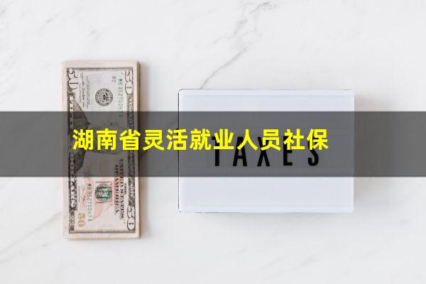 湖南省灵活就业人员社保