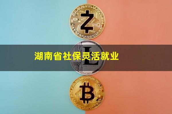 湖南省社保灵活就业
