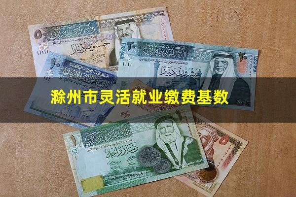 滁州市灵活就业缴费基数