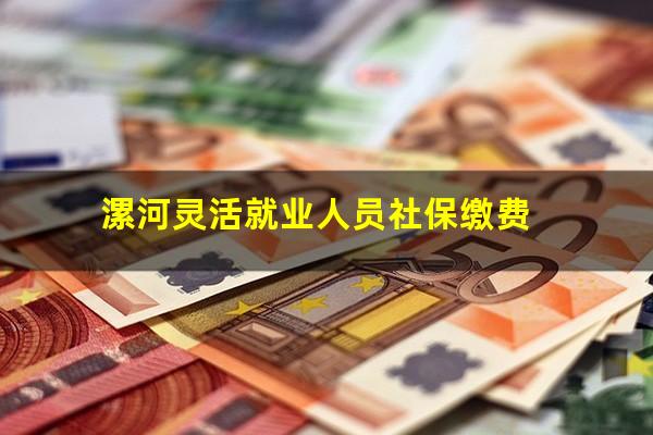 漯河灵活就业人员社保缴费
