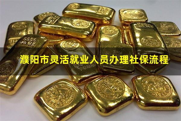 濮阳市灵活就业人员办理社保流程