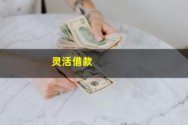 灵活借款