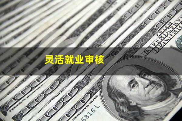 灵活就业审核