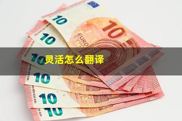 灵活怎么翻译