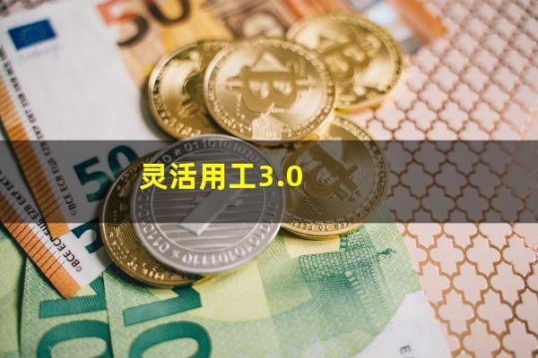 灵活用工3.0