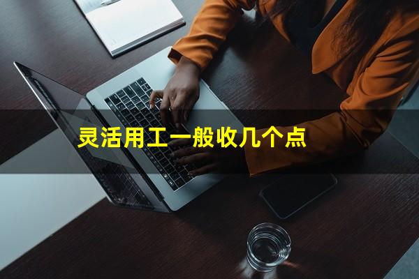 灵活用工一般收几个点