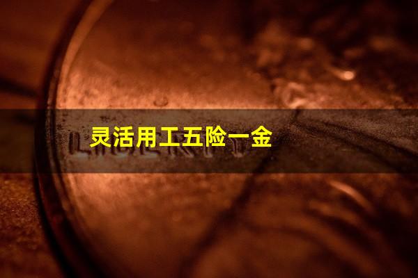 灵活用工五险一金