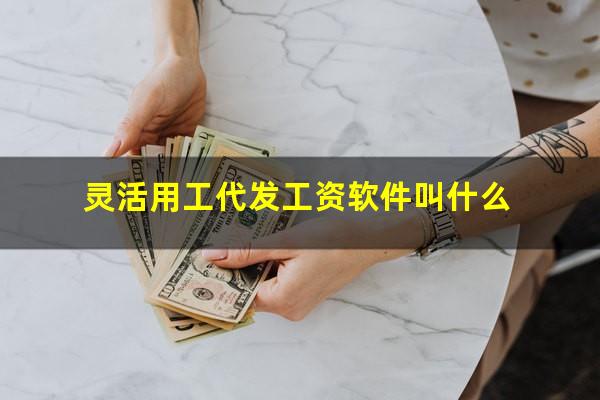 灵活用工代发工资软件叫什么