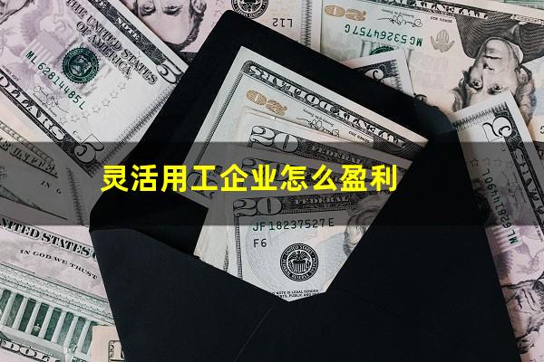 灵活用工企业怎么盈利