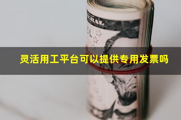 灵活用工平台可以提供专用发票吗