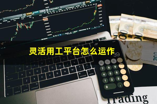 灵活用工平台怎么运作