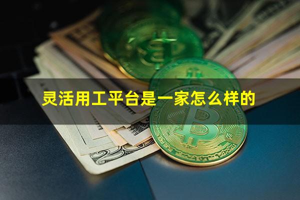 灵活用工平台是一家怎么样的