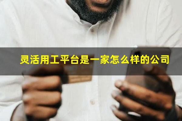 灵活用工平台是一家怎么样的公司