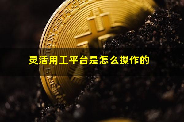 灵活用工平台是怎么操作的
