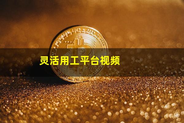 灵活用工平台视频