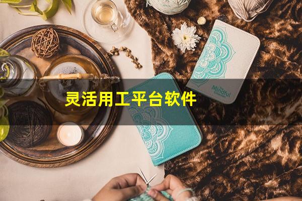 灵活用工平台软件