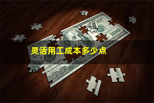 灵活用工成本多少点