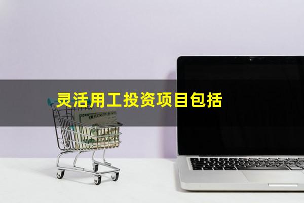 灵活用工投资项目包括