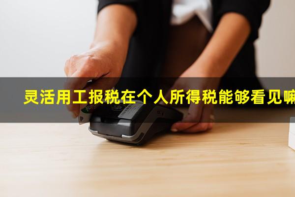 灵活用工报税在个人所得税能够看见嘛