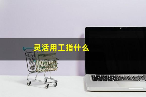 灵活用工指什么
