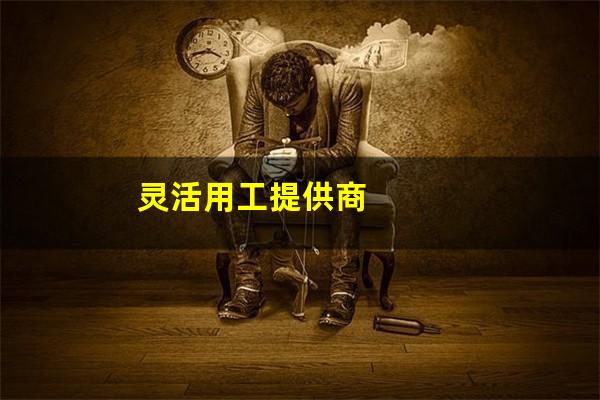 灵活用工提供商