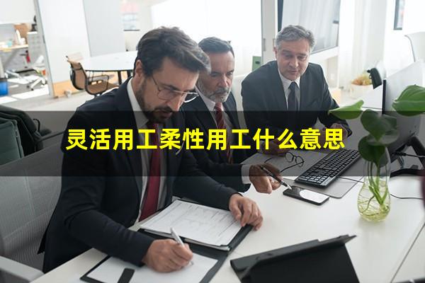 灵活用工柔性用工什么意思