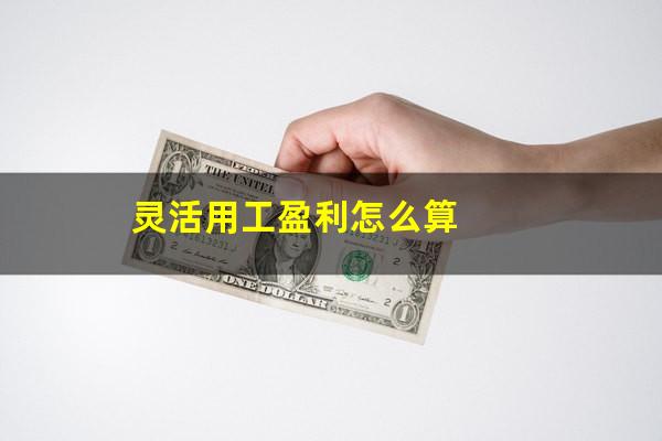 灵活用工盈利怎么算
