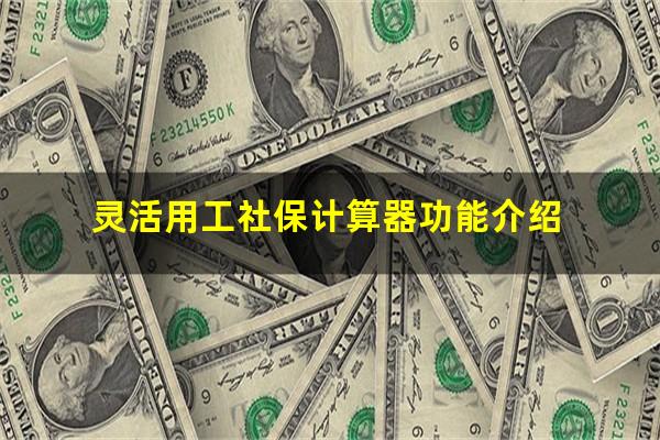 灵活用工社保计算器功能介绍