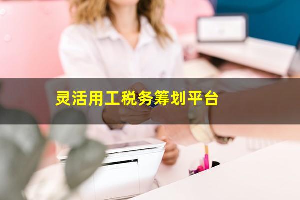 灵活用工税务筹划平台