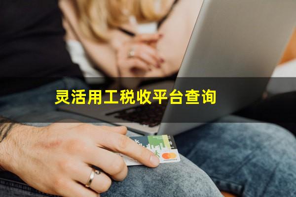 灵活用工税收平台查询