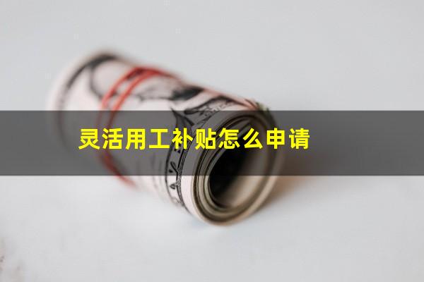 灵活用工补贴怎么申请