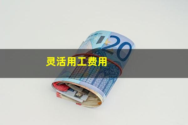 灵活用工费用