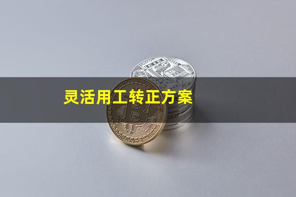 灵活用工转正方案