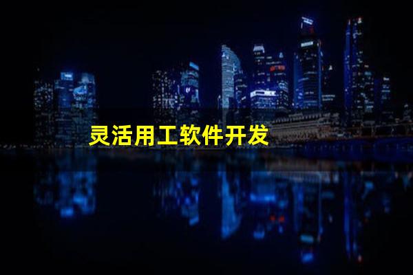 灵活用工软件开发
