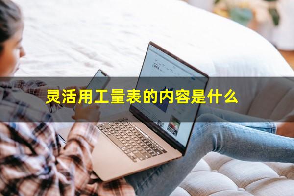灵活用工量表的内容是什么